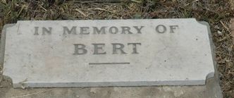Read In memory of Bert