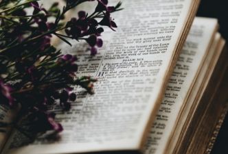 Read A Christian Teen’s Guide to the Bible: Fact or Fiction?