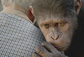Read Rise of the planet of the apes review