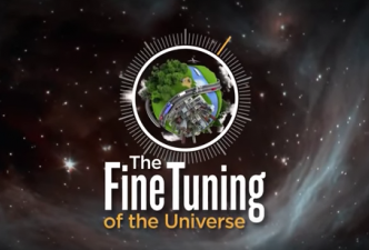 Read The fine tuning of the universe
